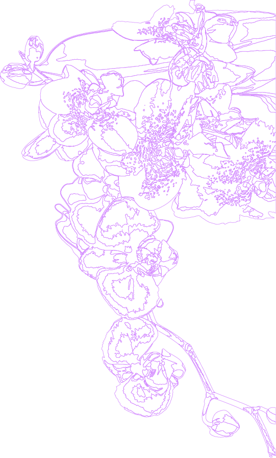 image: intro_bg1