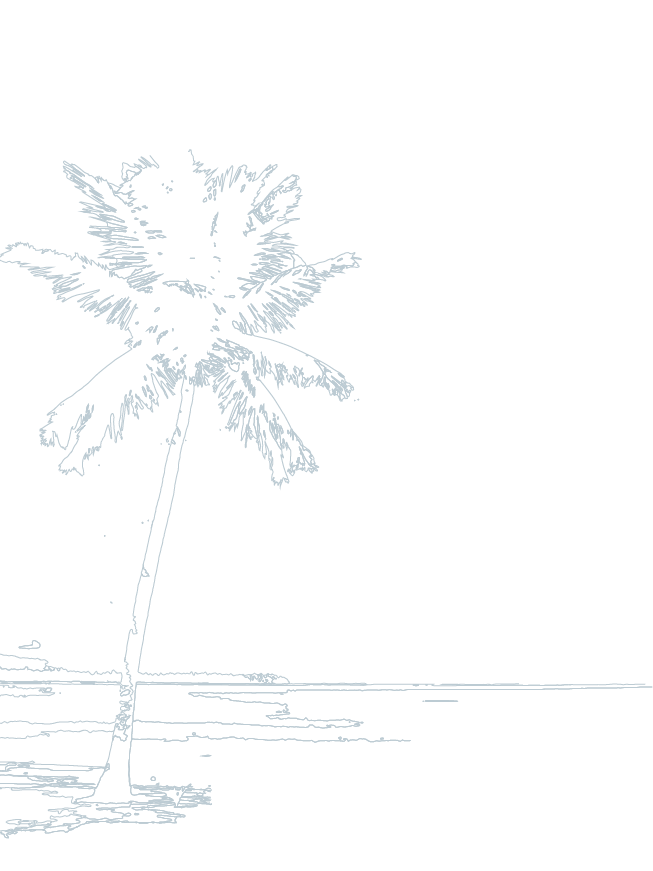 image: intro_bg1